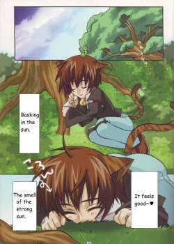 Page 1 of Nyandam SEED 2