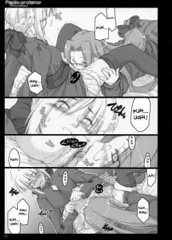 Page 20 of Papilio Protenor