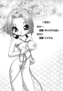 Page 3 of Kunoichi Hatsujouchuu!!