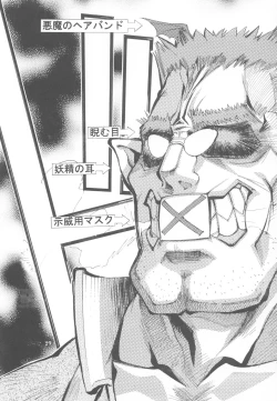 Page 29 of KAISHAKU RAGUNAROK ONLINE