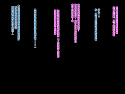 Page 7 of Muchimuchi JK to Itsudemo Nakadashi shite Haramase OK no Gakkou