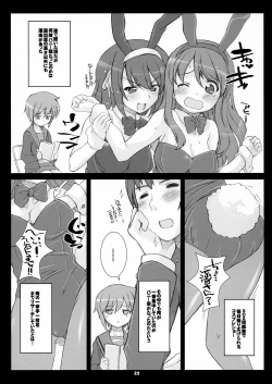 Page 23 of RARE HEROES