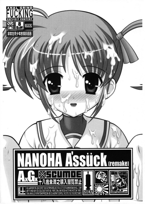 Download NANOHA A'ssück