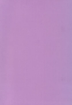 Page 4 of Saidaikyuu no Munasawagi