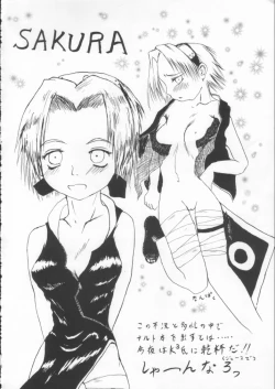 Page 13 of ERO-NINJA