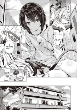 Page 14 of Succubus Company