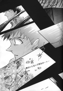 Page 21 of <Shinyaku> neon genesis document G
