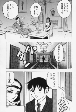 Page 29 of Shukujo No Seiheki