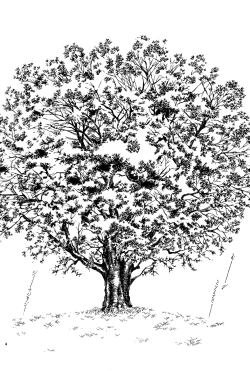 Page 6 of Sakura Gari Vol. 2