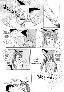 Page 12 of Tatatte Nyan Nyan