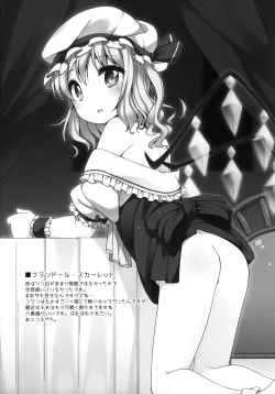 Page 9 of Touhou Matome-bon