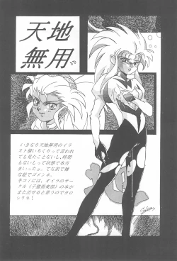 Page 24 of Tenchi Muyo! Ryououki