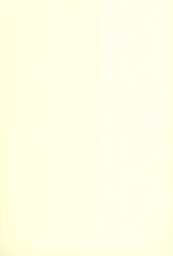 Page 31 of W-slot Musume