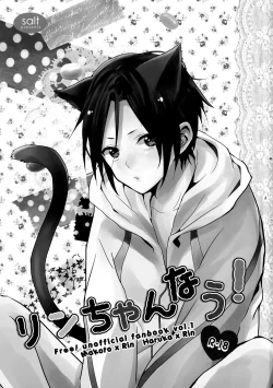 Page 2 of Rin-chan nau!