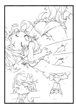 Page 3 of Lumiere Zukan