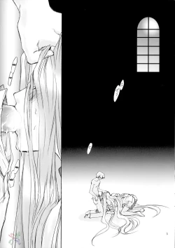 Page 4 of Velvet Rose