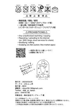 Page 33 of Chinmi o Motomete