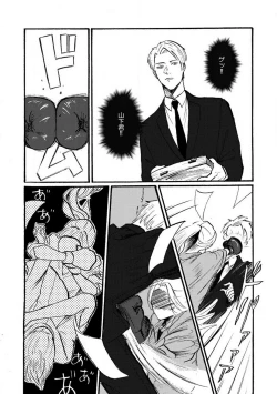 Page 28 of Yamashita5