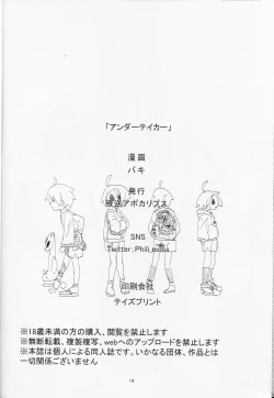 Page 13 of Undertaker