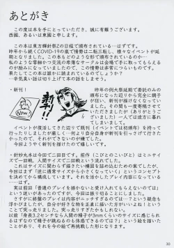 Page 29 of Shinmyoumaru ga Chiisakuna Are