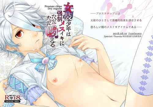 Download Josou Shounen wa Kyousei Mesuiki ni Tadatada Modaeru - Prostate chips Dry orgasm