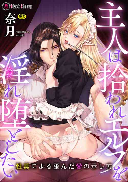 Download Shuujin wa Hiroware Elf o Midareotoshitai