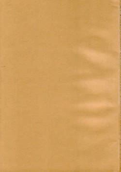 Page 2 of DiGital AngELs SIDE-D