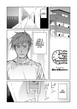 Page 1 of The Guinea Pig's Weekly Experiment at 8 P.M.