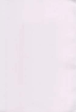 Page 3 of Kodomo datte Sounyuu shitai!