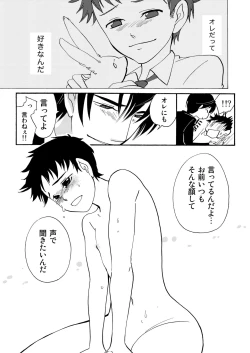 Page 17 of Usagi no Koe