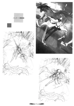 Page 65 of Seinarukana - offical ArtBook