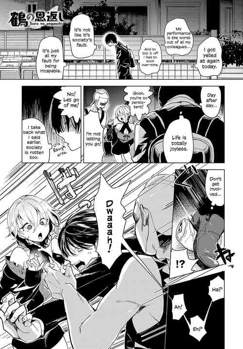 Download Tsuru no Ongaeshi | Crane's Return of a Favor