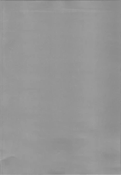 Page 4 of Cagliostro-chan ga Doutei o Moratte Kureru you desu