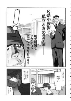 Page 33 of Amida Knuckle