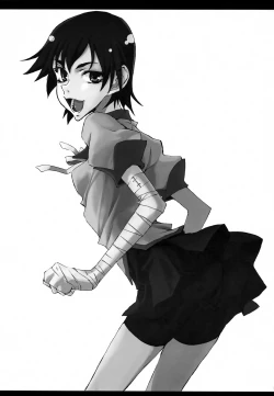 Page 28 of Bakemonogatari Hon Soushuuhen