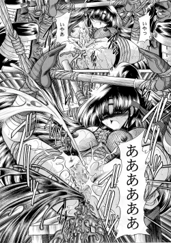 Page 27 of Beni Ninpouchou Chi no Kan