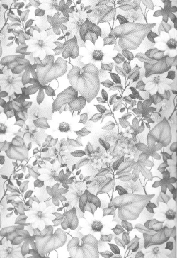 Page 2 of CARDCAPTOR SAKURACHANG!