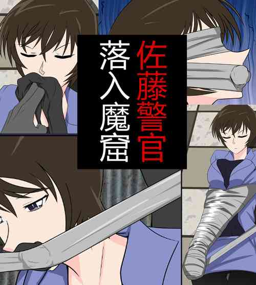 Download Miwako Sato kidnapping case