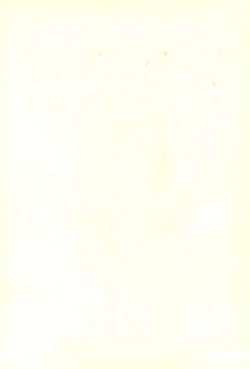 Page 2 of Hitosujinawa SPECIAL Ruri Ruri? Soushuuhen Kanzenban