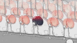 Page 136 of jidō ningyō meikyū tansaki | Maze exploration record of an automaton