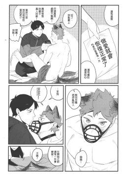 Page 26 of 影山飛雄變成兔子了!