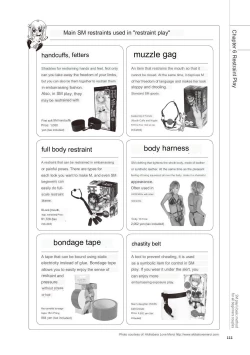 Page 109 of SM play manual