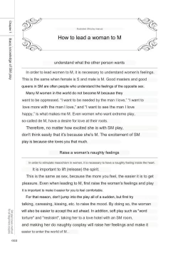 Page 20 of SM play manual