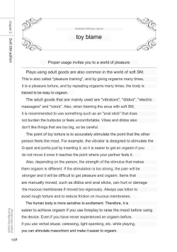 Page 36 of SM play manual