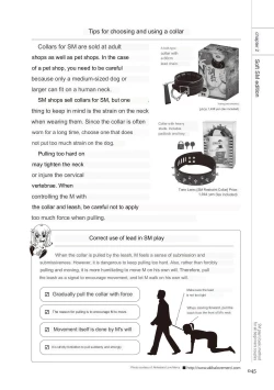 Page 43 of SM play manual