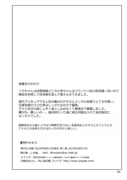 Page 4 of Precure Sora-chan Choukyou Ehon