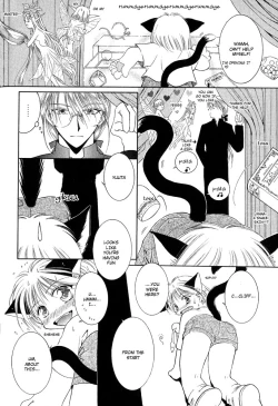 Page 164 of Mimi to Shippo to Mahoutsukai