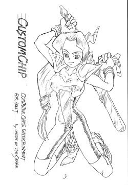 Page 2 of CUSTOMCHIP