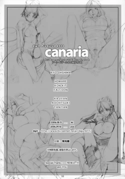 Page 39 of canaria