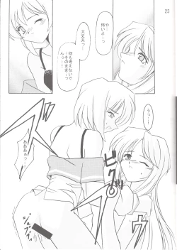 Page 24 of Lunasol Festa